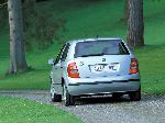 photo 21 Car Skoda Fabia Hatchback 5-door (6Y [restyling] 2002 2007)