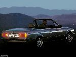 Foto 44 Auto BMW 3 serie Cabriolet (E36 1990 2000)
